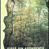 Viata din abundenta