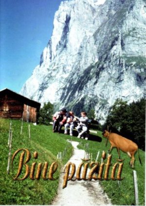 Bine pazita