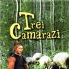 Trei camarazi
