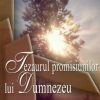 Tezaurul promisiunilor lui Dumnezeu