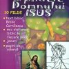 Din pildele Domnului Isus