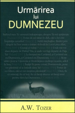 Urmarirea lui Dumnezeu