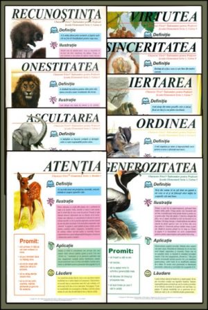 Manualul profesorului pentru gradinita si clasele primare - 9 reviste