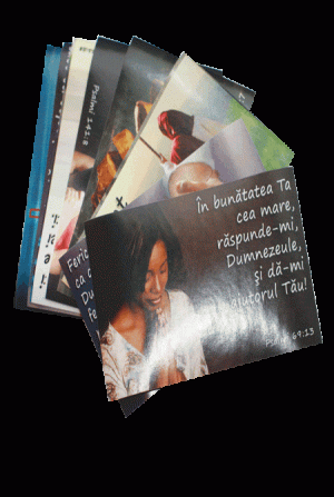set autocolante