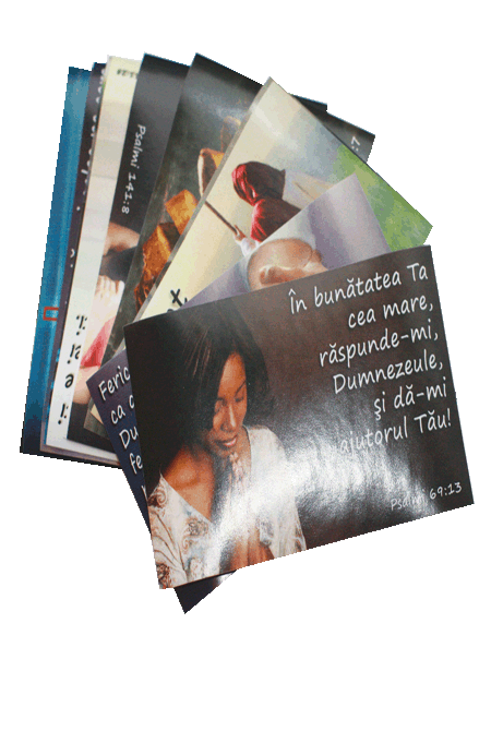 set autocolante