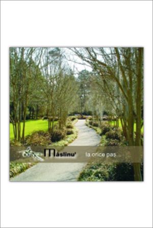 CD Maslinu` - La orice pas