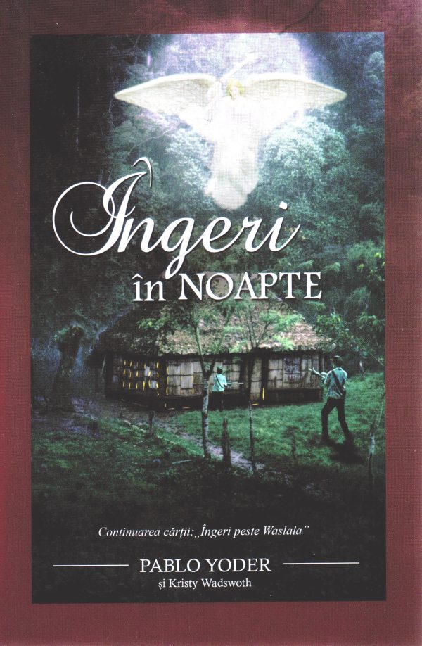 Ingeri in nopate (continuarea cartii Ingeri peste Waslala)