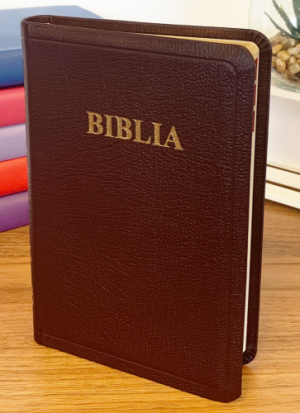 Biblie mică 047 TI