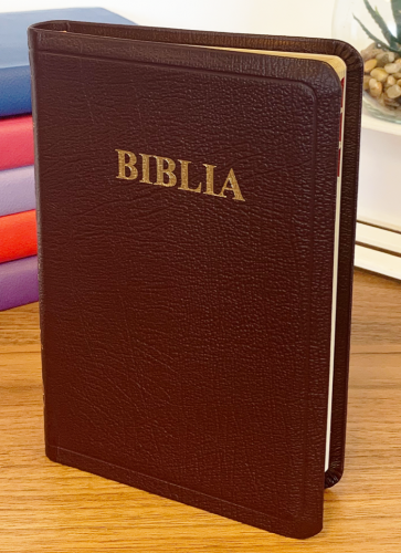 Biblie mică 047 TI
