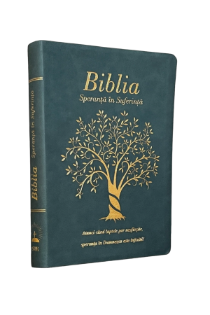 Biblia „Speranță în suferință” - albastru