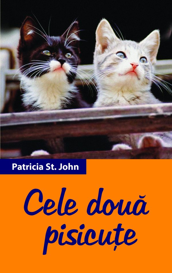 Cele două pisicuțe