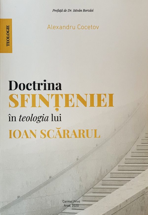 Doctrina sfinteniei in teologia lui Ioan Scararul