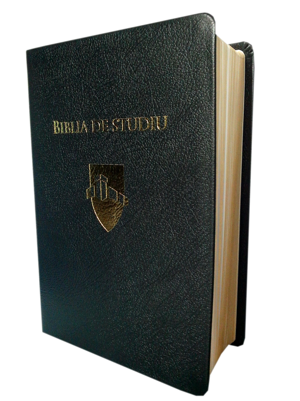 Biblia de studiu Andrews