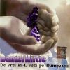 CD Daniel Hîrtie - De vrei să-L vezi pe Dumenzeu