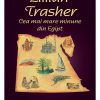 Lillian Trasher: Cea mai mare minune din Egipt -- seria Biografii