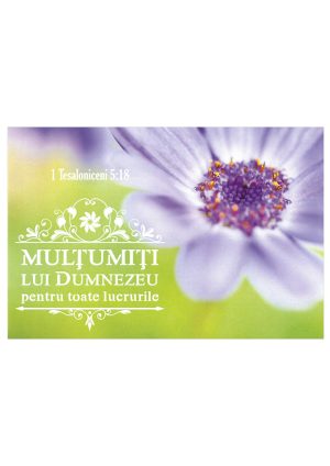 Felicitare cu verset din Noul Testament