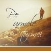 Pe urmele turmei