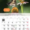 Calendar 2026 -  format A4