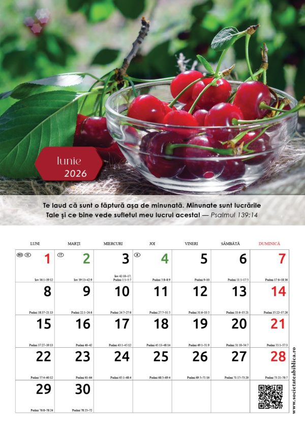 Calendar 2026 -  format A4